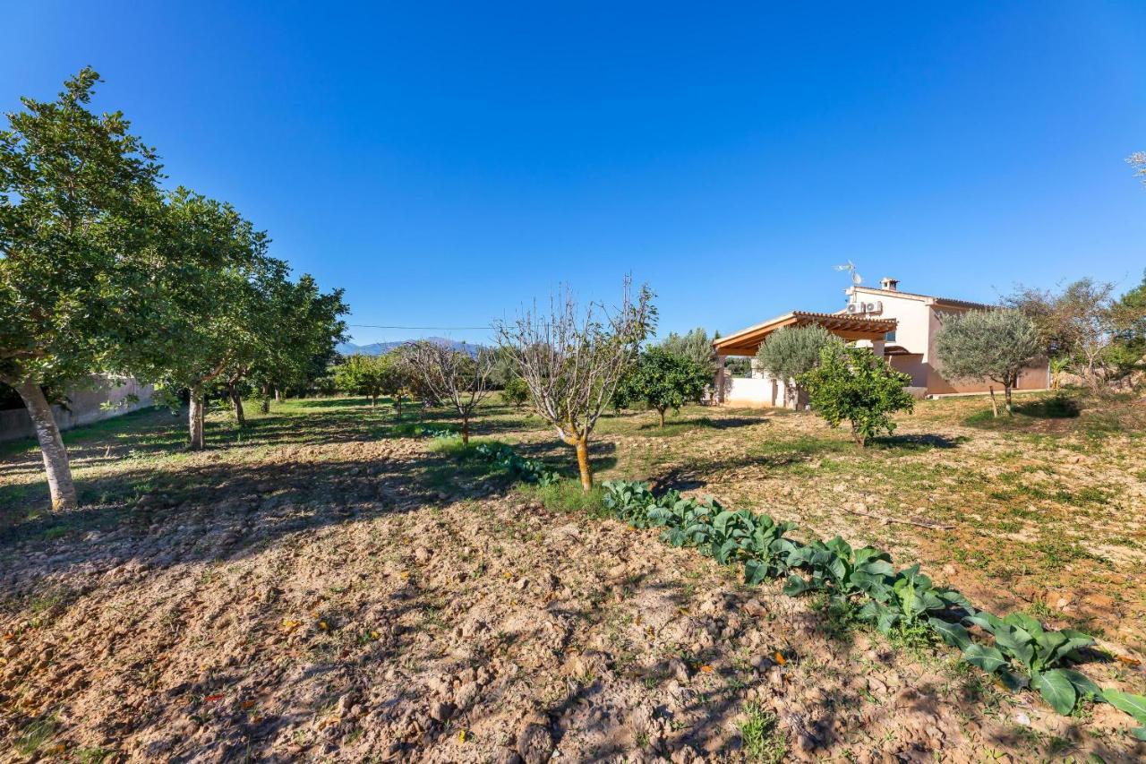Villa Son Allarga Costitx  Esterno foto